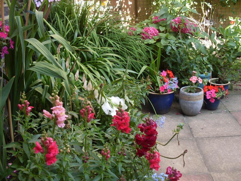 Cambridge House Guest House Eastbourne Pokój zdjęcie